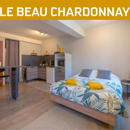 Le Beau Chardonnay, Au Coeur De Chablis Apartment Екстериор снимка